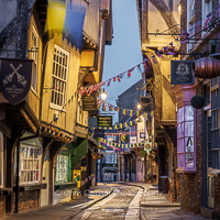 Solidarity, The Shambles